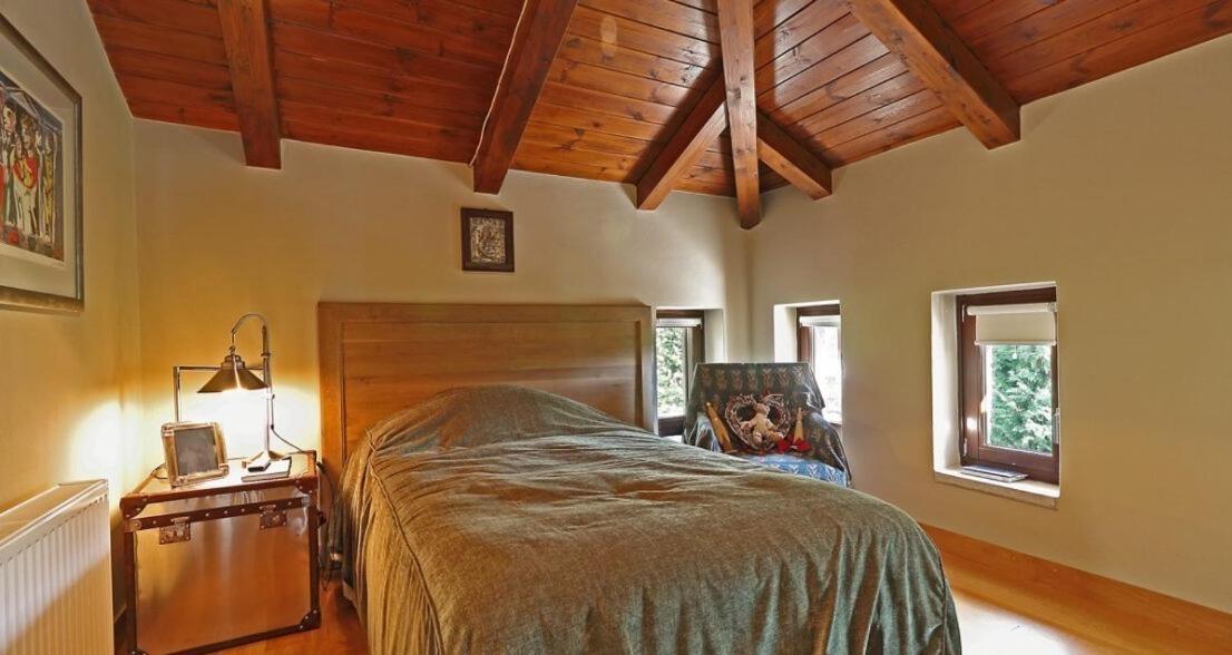Plethora Arachova Luxury Chalet Exterior foto